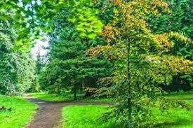 Galloway House Gardens