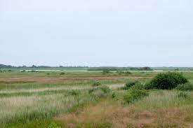 Bundesgaarder See