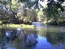 Lauchert