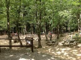 Parco Avventura Selva del Buffardello