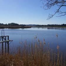 Maisinger See