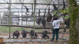 Leintalzoo Schwaigern
