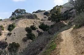 Puente Hills