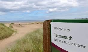Teesmouth National Nature Reserve