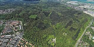 Dölauer Heide