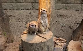 Tiergarten Halberstadt