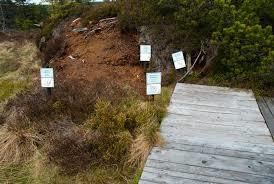 Gottesgaber Torfmoor