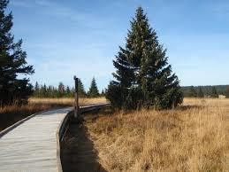 Naucna stezka Bozidarske raseliniste