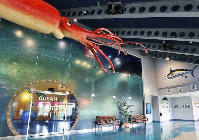 Ocean Discovery Centre @ Bermuda Underwater Exploration Institute