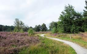 De Brabantse Kempen