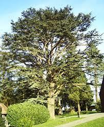 Domaine d'Harcourt