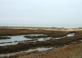 Hamford Water National Nature Reserve