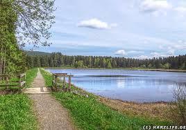 Kiefhölzer Teich