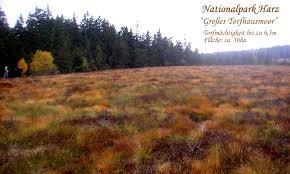Torfhausmoor