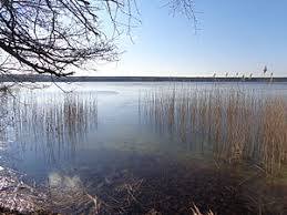 Malkwitzer See