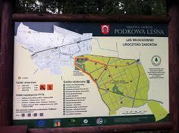 Las Młochowski