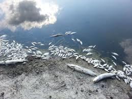 Pastlingsee