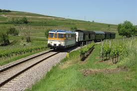 Rebenbummler
