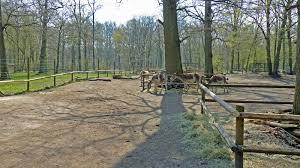 Tierpark Oberwald