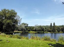 Steinertsee