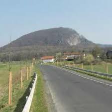 Hirzstein