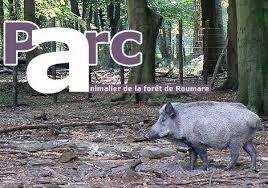 Parc Animalier de la Foret de Roumare