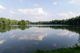 Meschesee