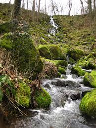 Geotop Leyenbach-Wasserfall