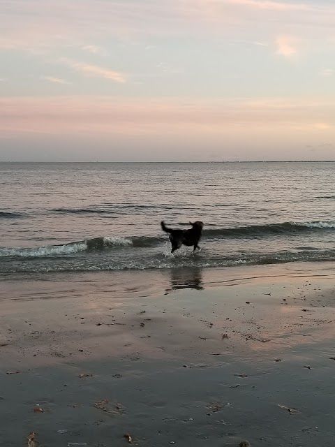 Buckroe Beach and Park