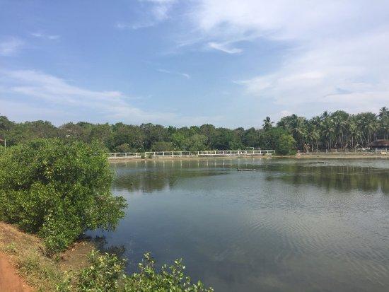 Singing Birds Cabana