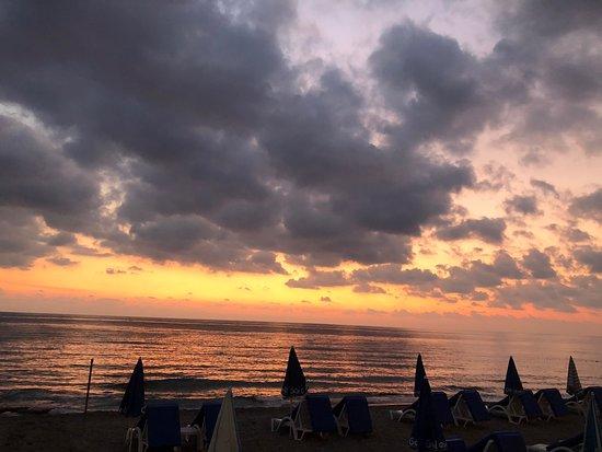 Jungleman Amigos Beach Club