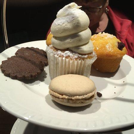 Lady Dinah's Cat Emporium