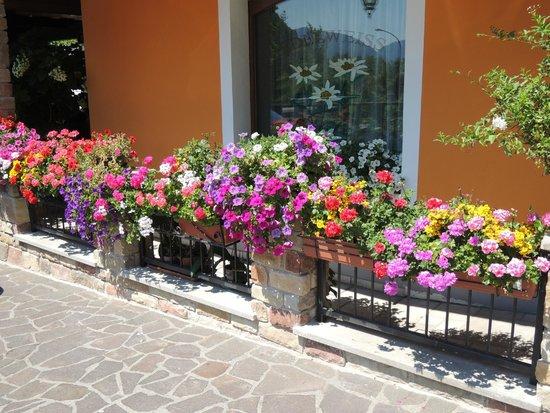 Ristorante Edelweiss Pizzeria