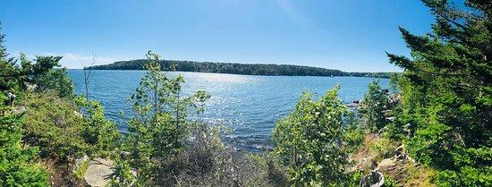 Cabbage Island Clambakes