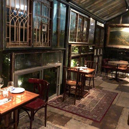 Insects in the Backyard