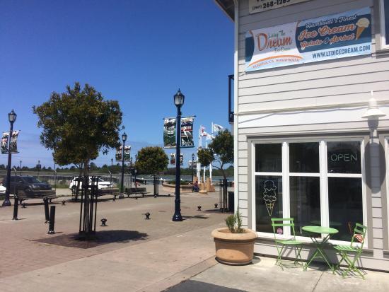 Living the Dream Ice Cream