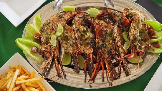 Tipico Bayahibe Bar & Restaurant