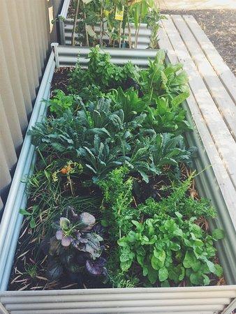 Grounded. Wholefoods