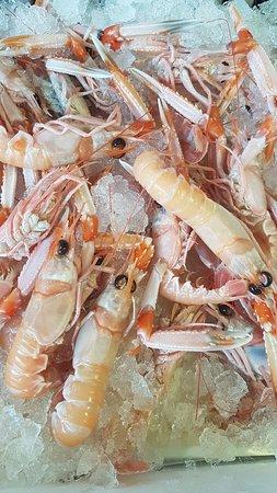 Vianello Emanuela Pescheria