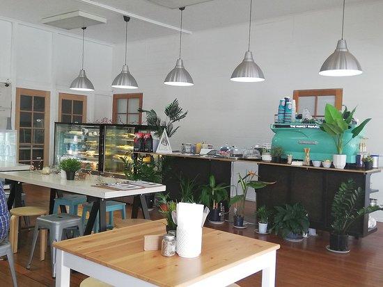 The Hungry Hummingbird