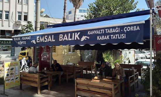 Emsal Balik