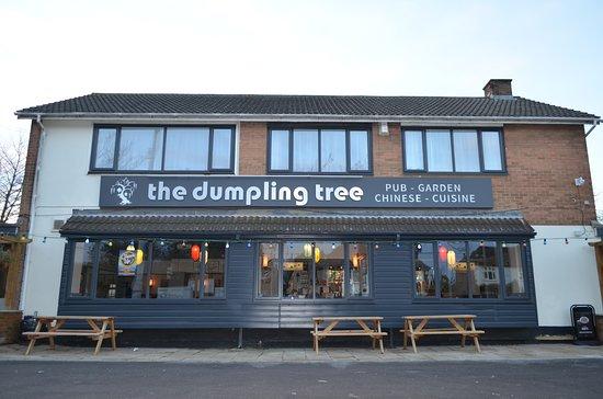 The Dumpling Tree Bar & Restaurant