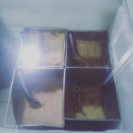 Nieves Tradicionales Salmantinas