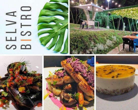 Selva Bistro