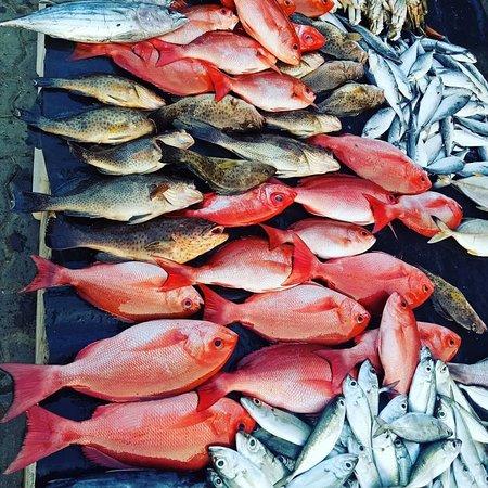 Mama's Place Weligama