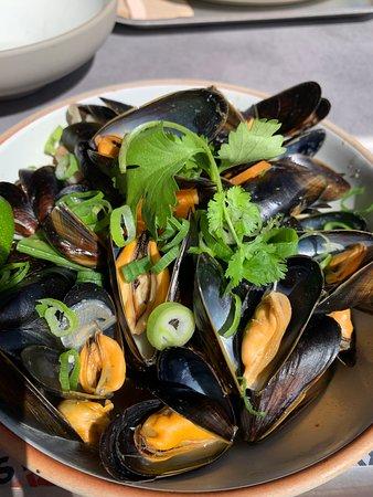 Pink Fish Munch Brygge