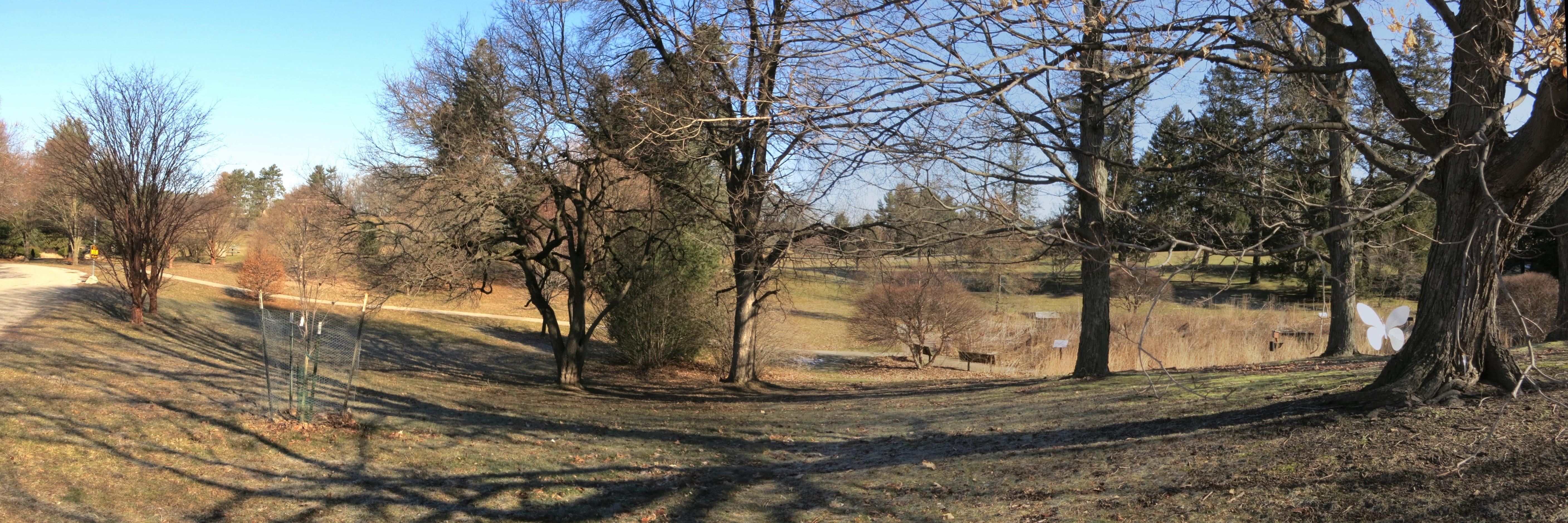 Leila Arboretum