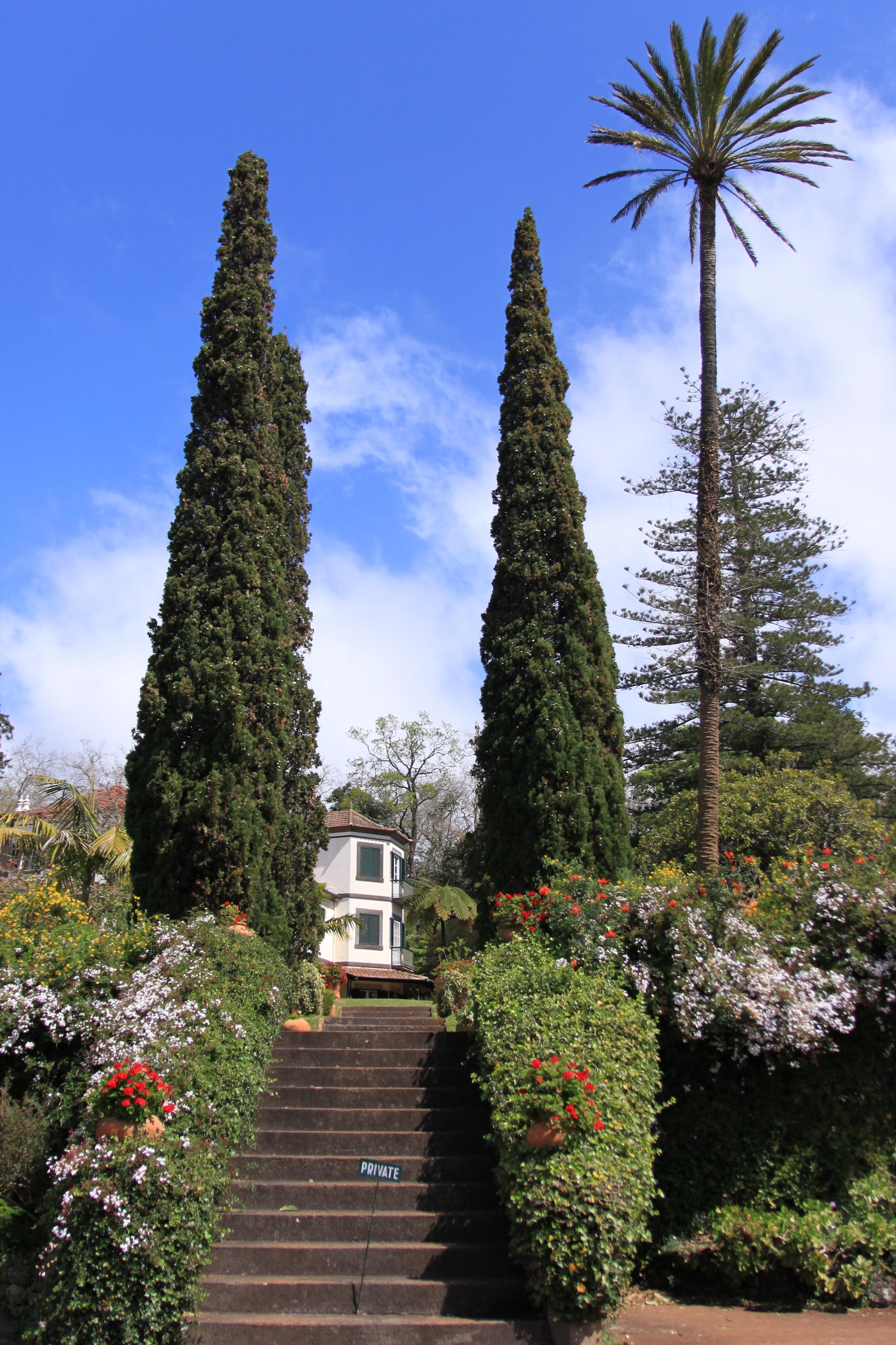 Quinta do Palheiro Ferreiro