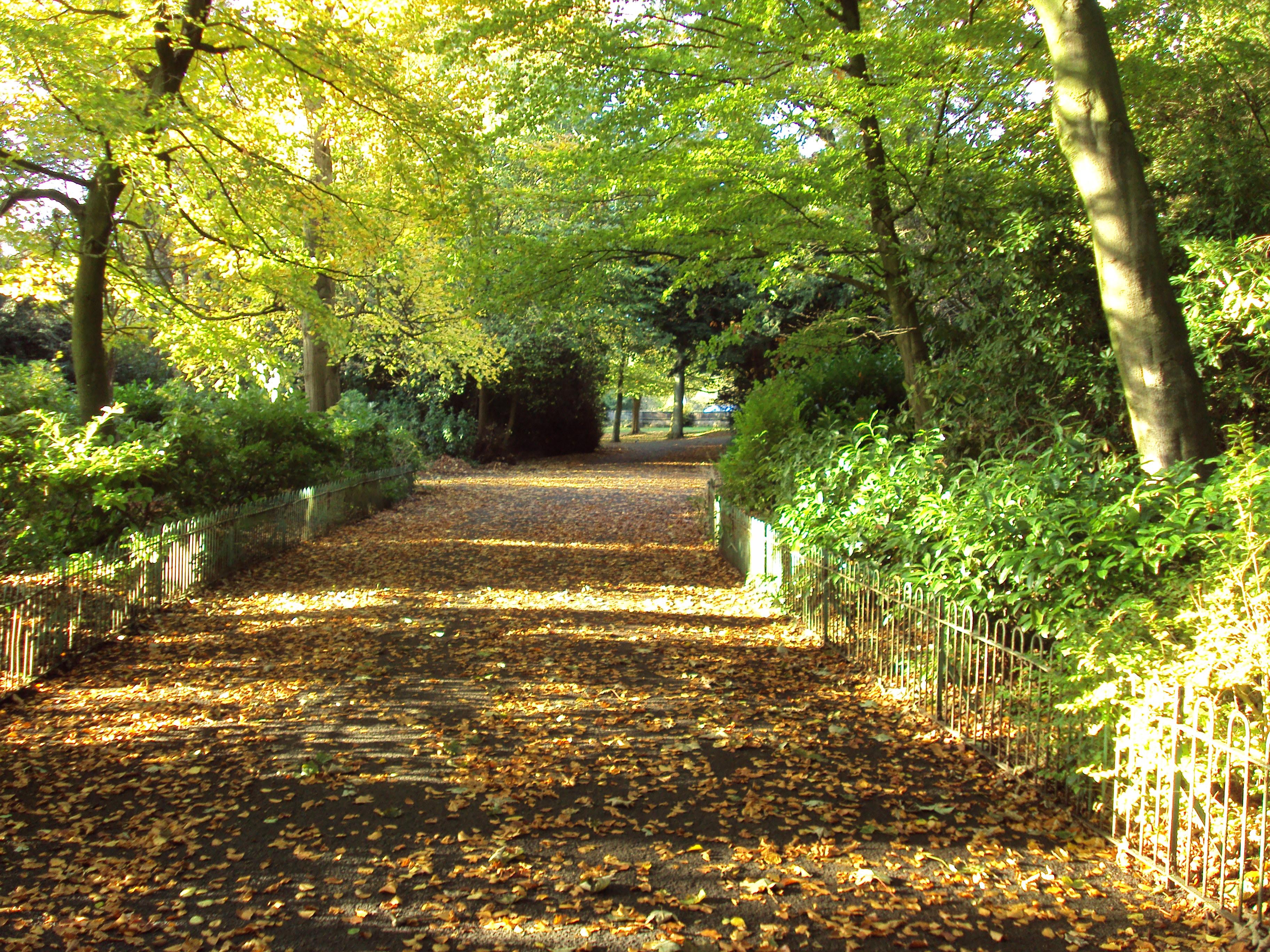 Arrowe Park