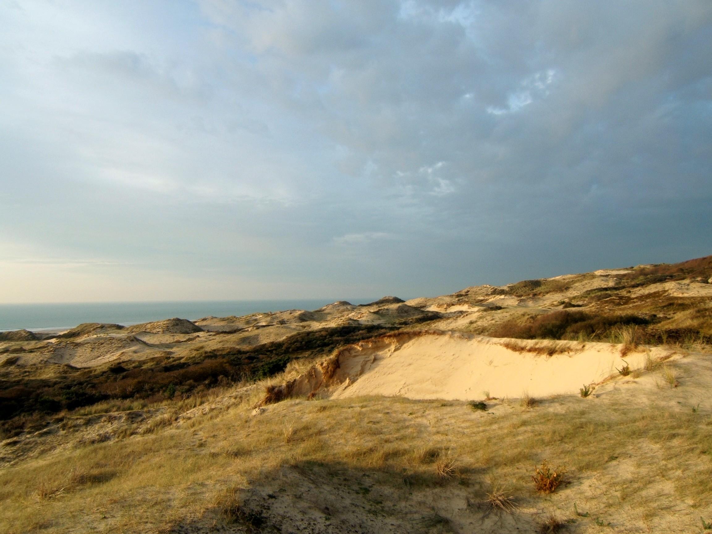 Dunes d'Écault